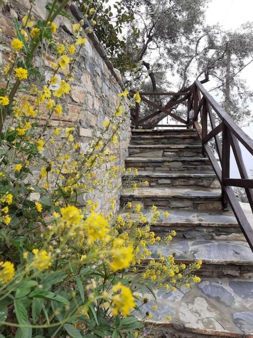 Limnionas Sunview Villa Xorychti Exterior foto